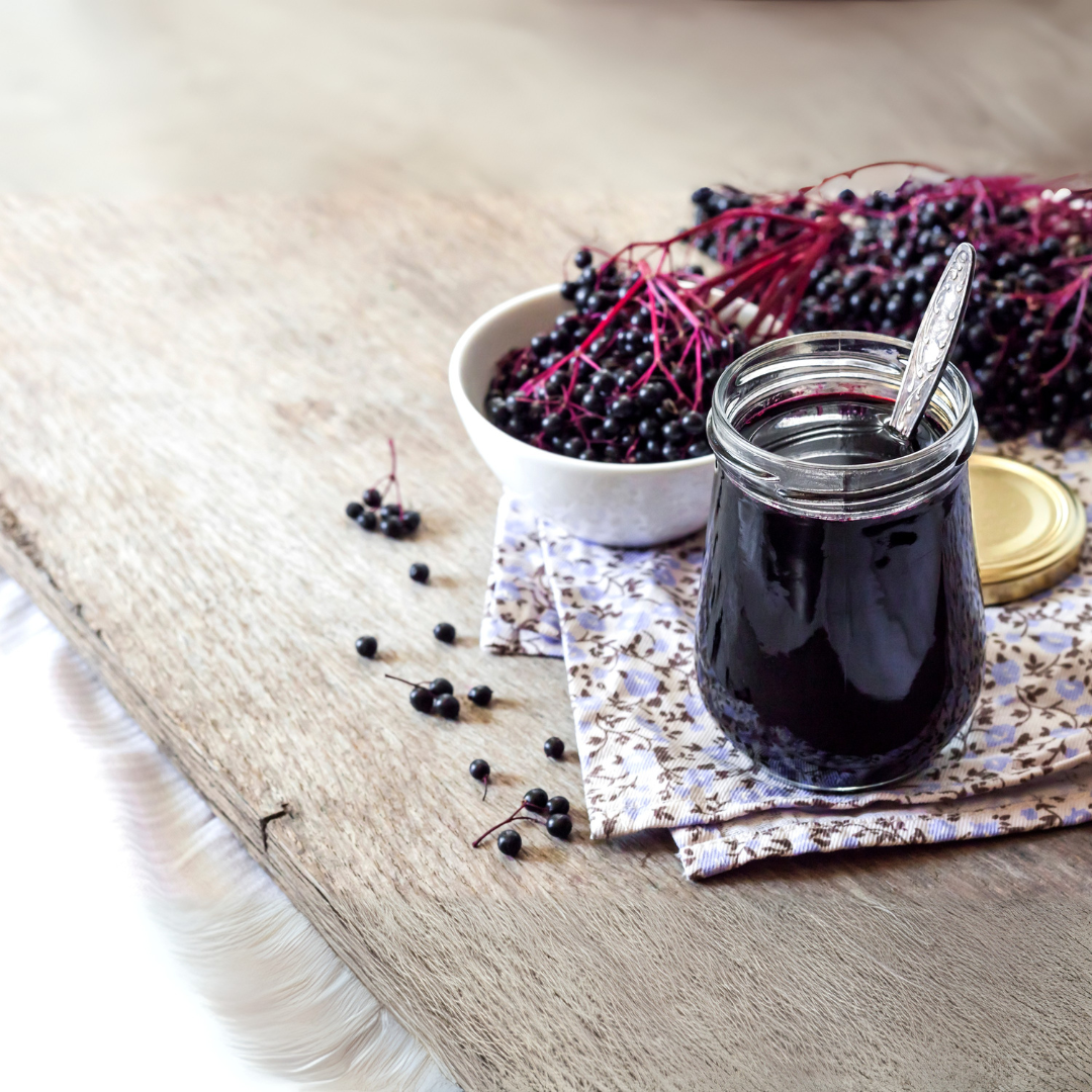 Elderberry Extract and Why We Love It